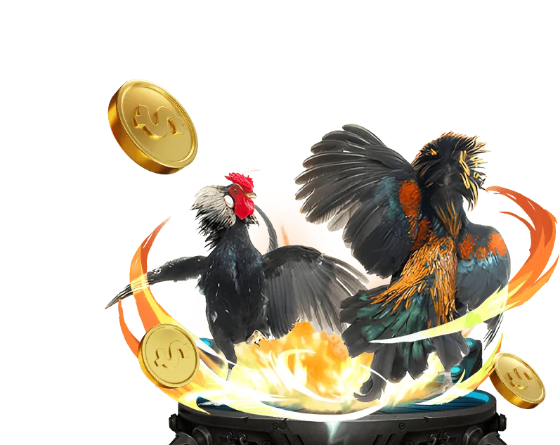 Tổng quan về game bài trực tuyến